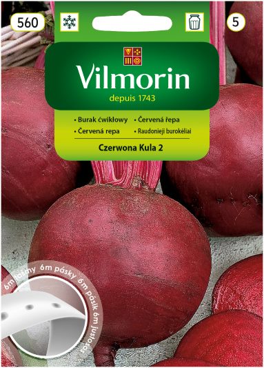 VILMORIN BURAK ĆWIKŁOWY CZERWONA KULA 2 DETROIT 2 TAŚMA 6M