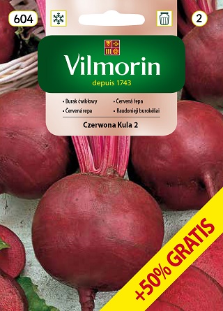 VILMORIN BURAK ĆWIKŁOWY CZERWONA KULA 2 DETROIT 2 15G