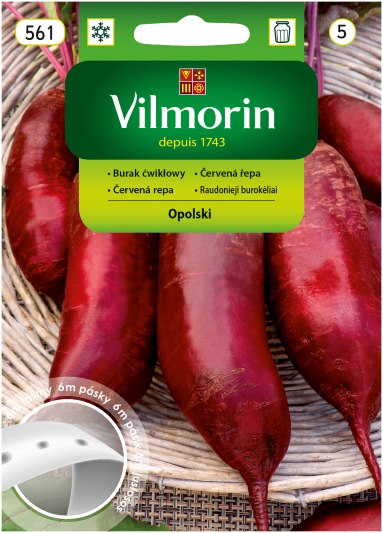 VILMORIN BURAK ĆWIKŁOWY OPOLSKI 15G TAŚMA 6M