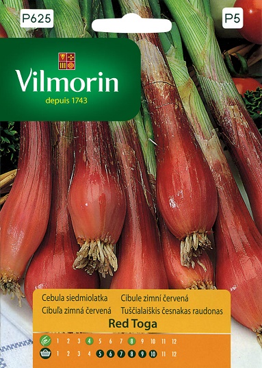 VILMORIN CEBULA RED TOGA SIEDMIOLATKA CZERWONA 1G