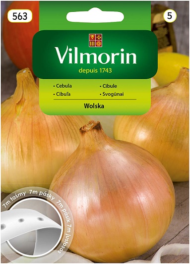 VILMORIN CEBULA WOLSKA TAŚMA 7M