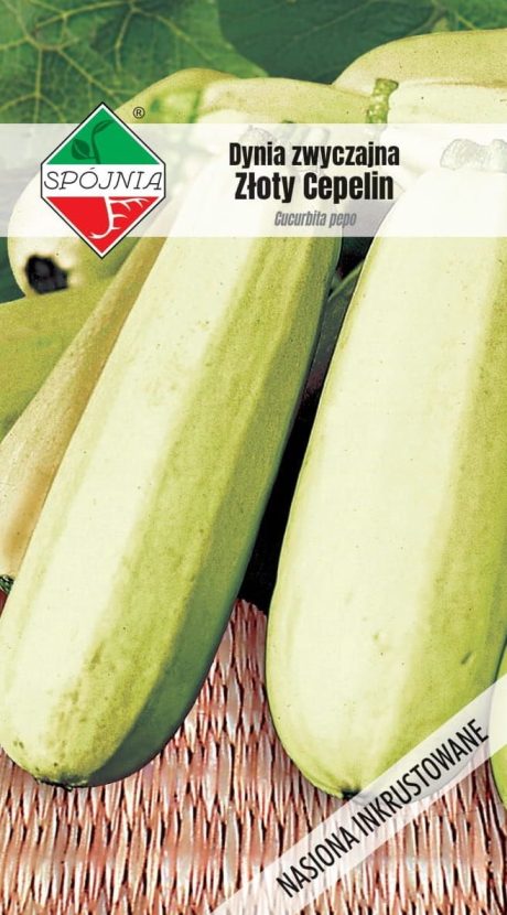 SPÓJNIA DYNIA CUKINIA ZŁOTY CEPELIN 5G