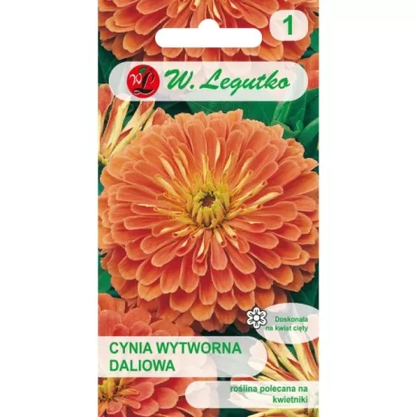 LEGUTKO CYNIA DALIOWA POMARAŃCZOWA 1G
