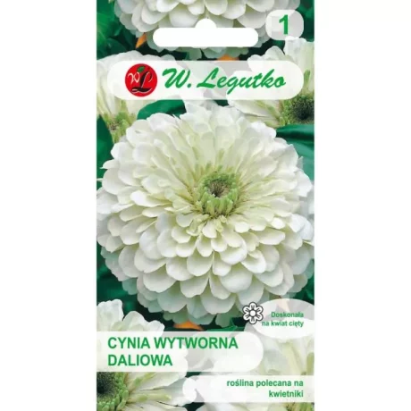 LEGUTKO CYNIA BIAŁA 1G