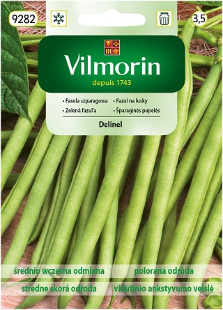 VILMORIN FASOLA SZPARAGOWA KARŁOWATA ZIELONA DELINEL 30G