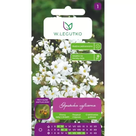 LEGUTKO GIPSÓWKA COVENT GARDEN 1 G