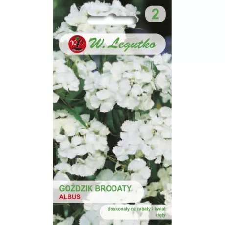 LEGUTKO GOŻDZIK BRODATY BIAŁY 0,5G
