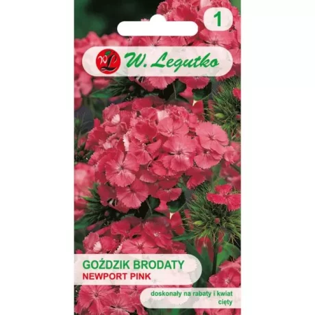 LEGUTKO GOZDZIK NEWPORT PINK 0,5G