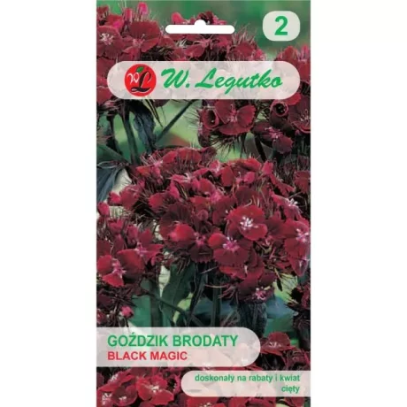 LEGUTKO GOŻDZIK BRODATY BLACK MAGIC 0,5G