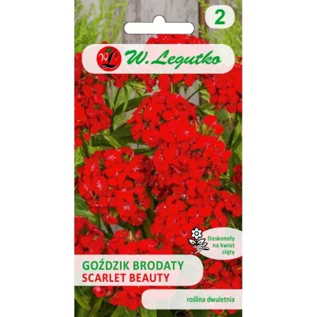 LEGUTKO GOŻDZIK BRODATY SCARLET BEAUTY 0,5G
