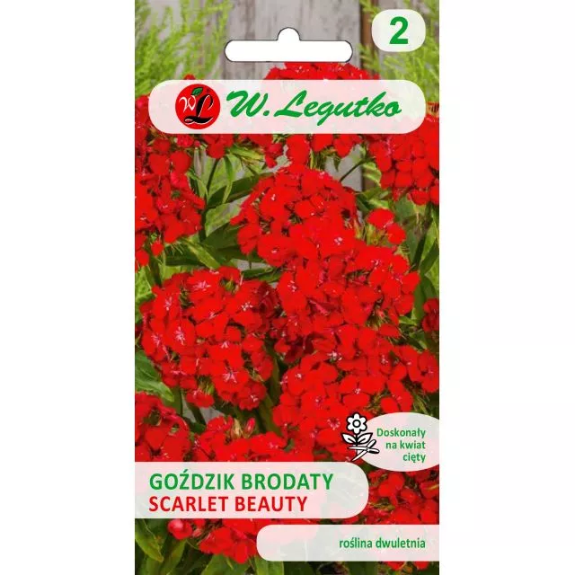 LEGUTKO GOŻDZIK BRODATY SCARLET BEAUTY 0,5G