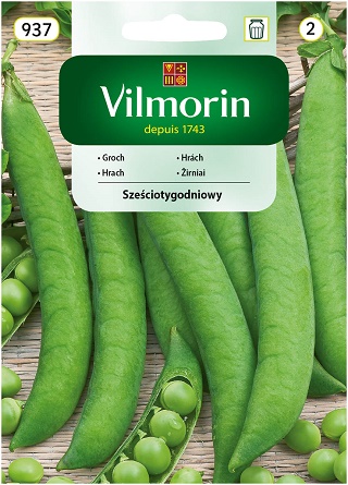 VILMORIN GROCH 6TG 40G