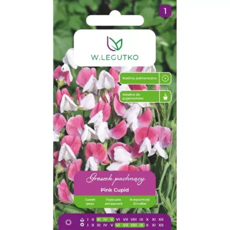 LEGUTKO GROSZEK PACHNĄCY PINK CUPID 3G