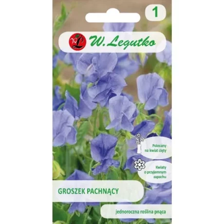 LEGUTKO GROSZEK PACHNĄCY NIEBIESKI 3G