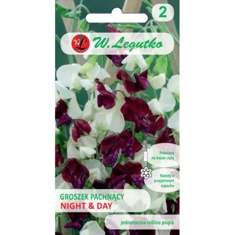 LEGUTKO GROSZEK PACHNĄCY NIGHT&DAY 3G