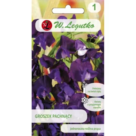 LEGUTKO GROSZEK PACHNĄCY CIEMNO NIEBIESKI 3G