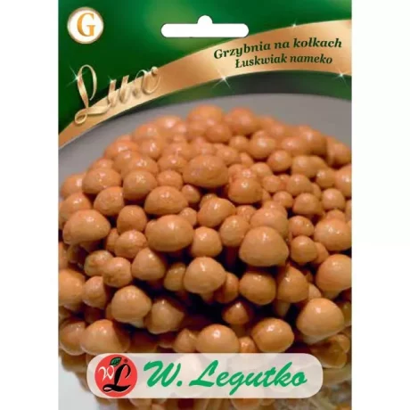 LEGUTKO GRZYBNIA ŁUSKWIAK MANEKO 20SZT