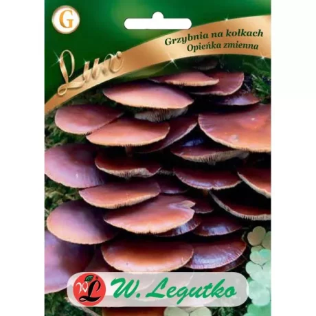 LEGUTKO GRZYBNIA OPIEŃKA ZMIENNA 20SZT