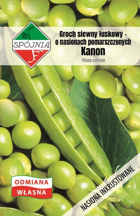 SPÓJNIA GROCH KANON 50G