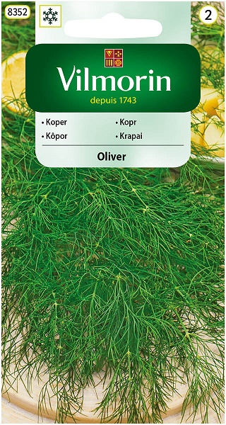 VILMORIN KOPER OLIVIER 5G