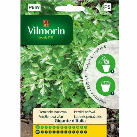 VILMORIN PIETRUSZKA GIGANTE D'ITALIA NA KRĄŻKU 3 SZT