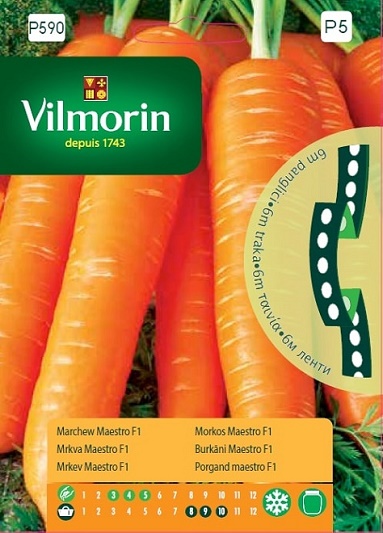 VILMORIN MARCHEW MAESTRO F1 TAŚMA 6M