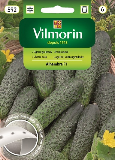 VILMORIN OGÓREK GRUNTOWY ALHAMBRA F1 TAŚMA 5M