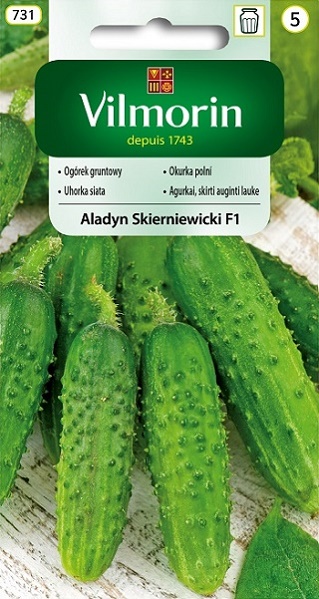 VILMORIN OGÓREK GRUNTOWY ALADYN SKIERNIEWICKI F1 5G