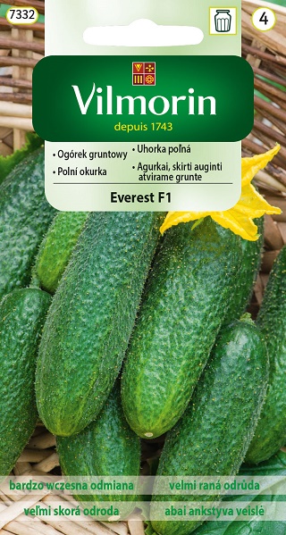 VILMORIN OGÓREK GRUNTOWY EVEREST F1 3G