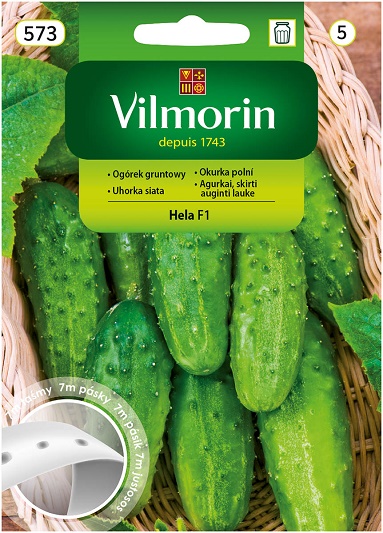 VILMORIN OGÓREK GRUNTOWY HELA F1 TAŚMA 7M