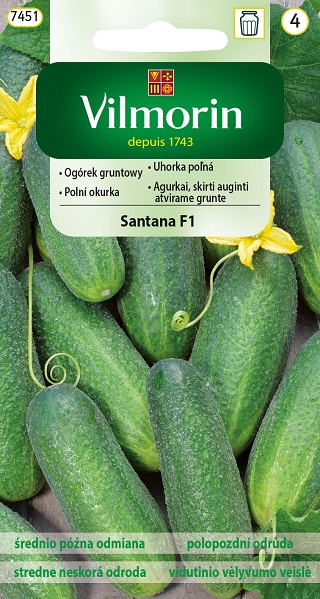 VILMORIN OGÓREK GRUNTOWY SANTANA F1 3G