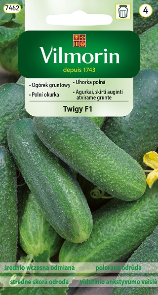 VILMORIN OGÓREK GRUNTOWY TWIGY F1 3G