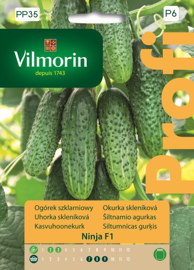 VILMORIN OGÓREK NINJA F1 12Z