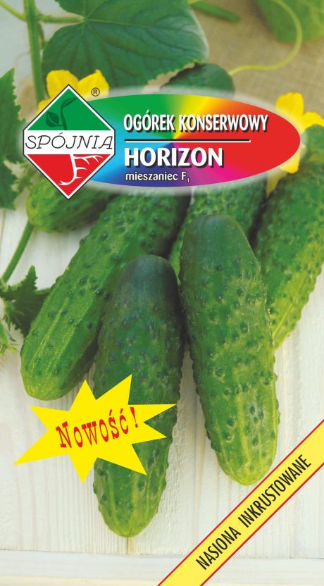 SPÓJNIA OGÓREK HORIZON 5G