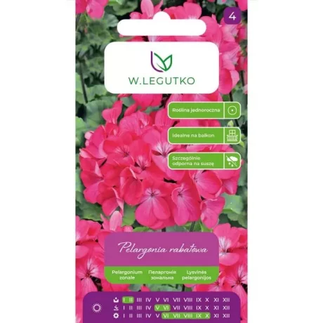 LEGUTKO PELARGONIA RABATOWA RÓŻOWA 0,05G