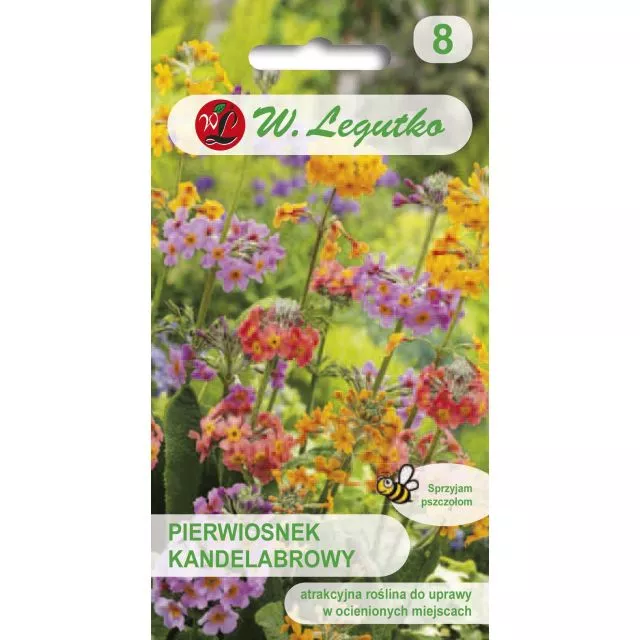 PIERWIOSNEK KANDELABR. MIX 0.02G LEGUTKO