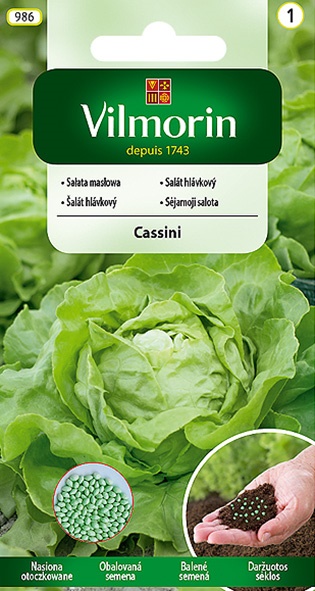 VILMORIN SAŁATA CASSINI OTOCZKOWANA 150Z
