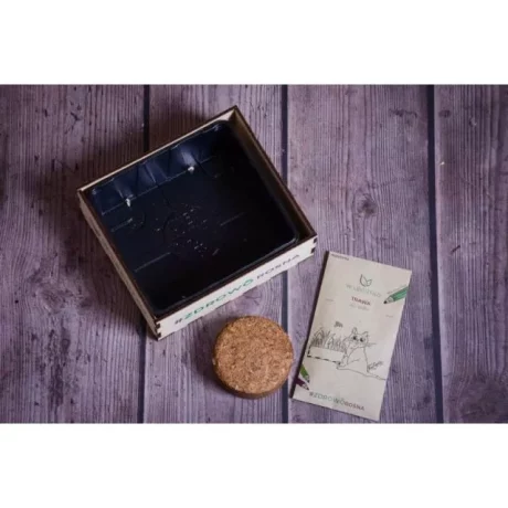 LEGUTKO SKRZYNECZKA KOTECZKA