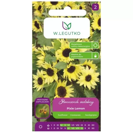LEGUTKO SŁONECZNIK PIXIE LEMON 2G