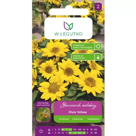 LEGUTKO SŁONECZNIK PIXIE YELLOW 2G