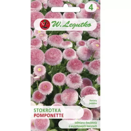 LEGUTKO STOKROTKA POMPONETTE 0,1G