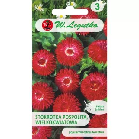 LEGUTKO STOKROTKA POSPOLITA CZERWONA 0,1G