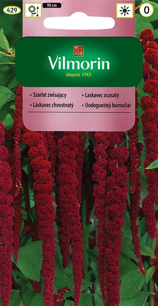 VILMORIN SZARŁAT ZWISAJĄCY CZERWONY 2G