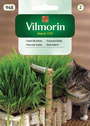 VILMORIN NASIONA TRAWA DLA KOTA 25G