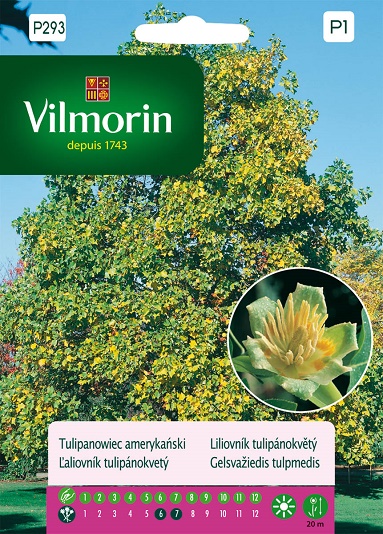 VILMORIN TULIPANOWIEC 0,3G
