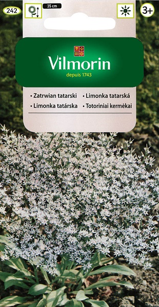 VILMORIN ZATRWIAN TATARSKI BIAŁY 0,2G