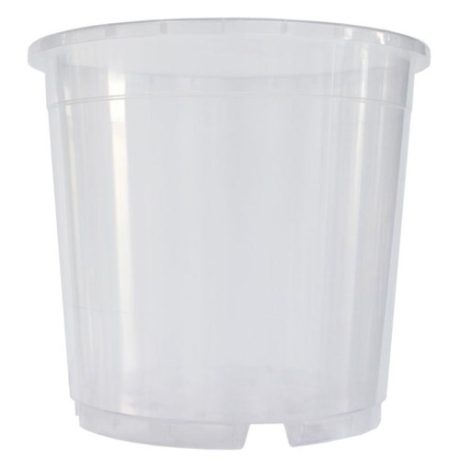 EXOFLORA DONICZKA AMAZONE STORCZYK 11"