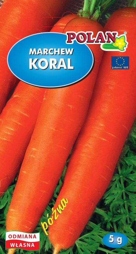 POLAN MARCHEW KORAL 5G