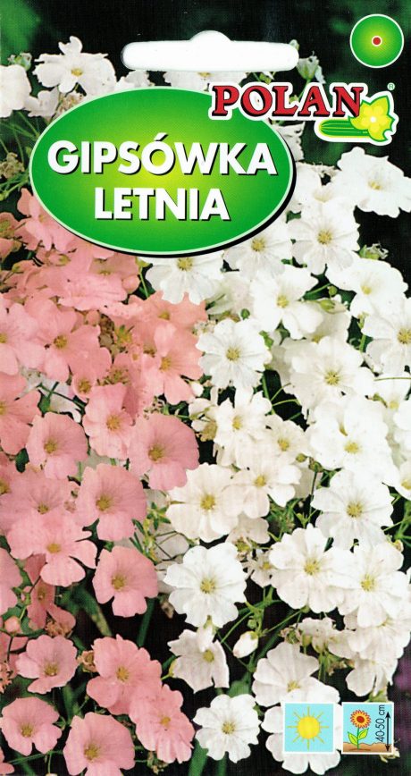 POLAN GIPSÓWKA WYTWORNA MIX 2G