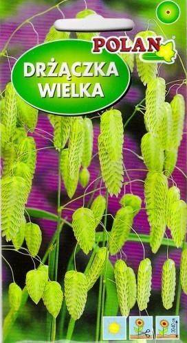POLAN TRAWA OZD DRŻĄCZKA 1G